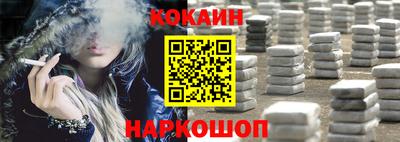 индика Новодвинск
