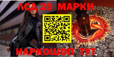 индика Новодвинск