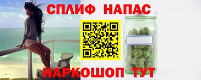 индика Новодвинск