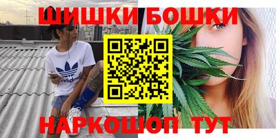индика Новодвинск