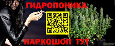 индика Новодвинск