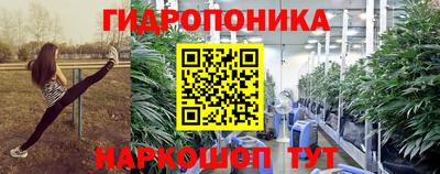 индика Новодвинск